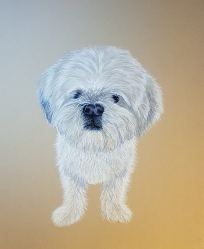 Lorna, Portrait of Bruno, pastels.